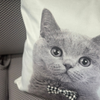 Image of Almohadón velvet con aplique de moño family gatos