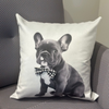 Image of Almohadón velvet con aplique de moño family cachorro bulldog