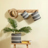 Image of Set x3 Canastos circulares de Yute Gris y Blanco con manija