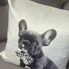 Image of Almohadón velvet con aplique de moño family cachorro bulldog
