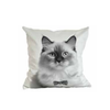 Image of Almohadón velvet con aplique de moño family gatos