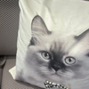Image of Almohadón velvet con aplique de moño family gatos