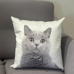 Almohadón velvet con aplique de moño family gatos