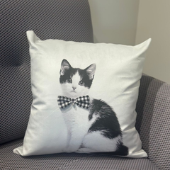Almohadón velvet con aplique de moño gatos bebes