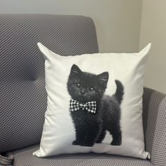 Almohadón velvet con aplique de moño gatos bebes