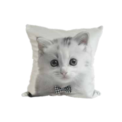 Almohadón velvet con aplique de moño family gatos