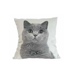 Almohadón velvet con aplique de moño family gatos