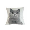 Image of Almohadón velvet con aplique de moño family gatos